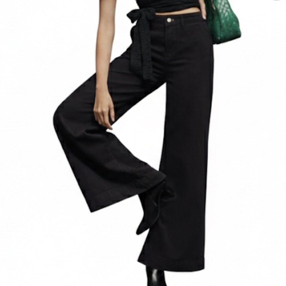 Anthropologie Pilcro Black Pleated Wide-Leg Pant High Rise Trousers Size 30